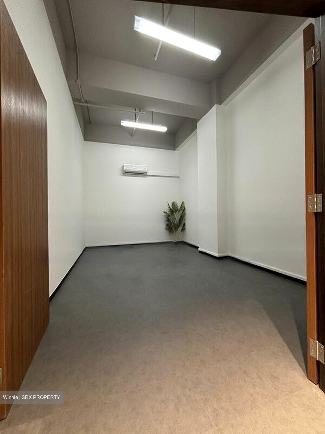 Primz Bizhub (D25), Factory #462638471